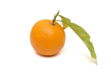 ripe orange