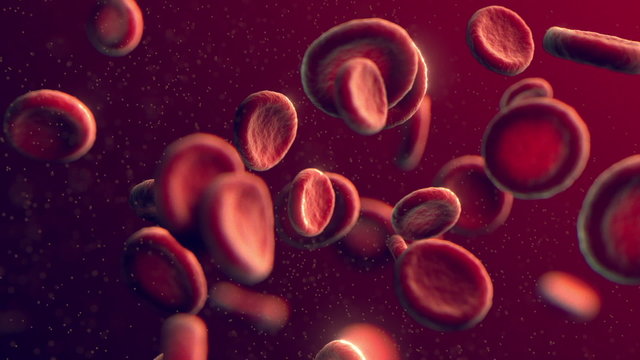 Blood cells (cg animation full hd)
