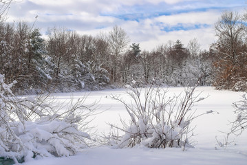 Winter Pond