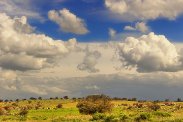 Obraz premium Parco Nazionale Alta Murgia:paesaggio primaverile.ITALIA(Puglia)