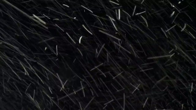 метель ночью