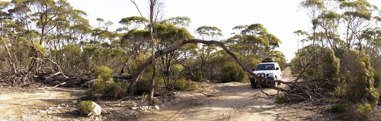 Cape Arid National Park, West Australia