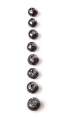 Blaeberry also known as bilberry over white background