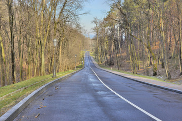 Красивая дорога в лесу