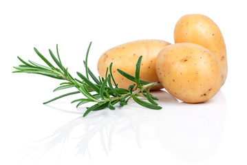 Raw potatoes with rosemary isolated on white background