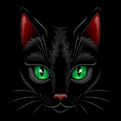 Black Cat Portrait
