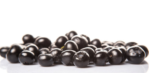 Blaeberry also known as bilberry over white background