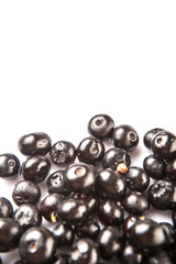 Blaeberry also known as bilberry over white background