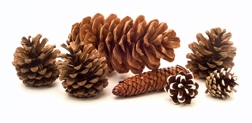 group of cones