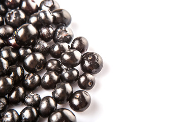 Blaeberry also known as bilberry over white background