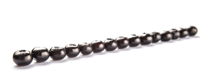 Blaeberry also known as bilberry over white background