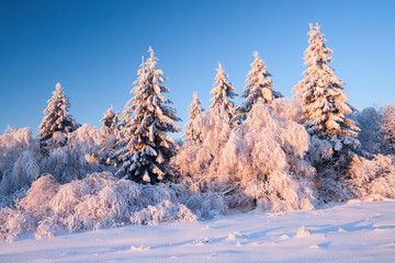 Winterlandschaft