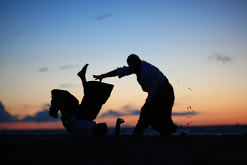 Silhouettes of masters practicing martial arts at sunset