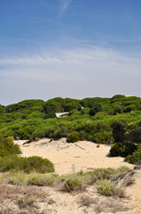 Punta Umbria - Costa de la Luz - dunes