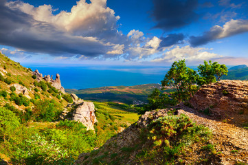 Fototapeta na wymiar Colorful summer landscape in the Crimea