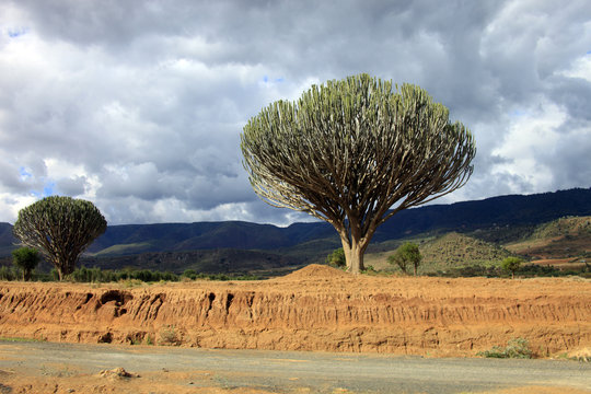 Kenya,paesaggio