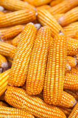 Fototapeta na wymiar Dried corn