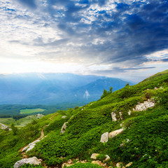 Obraz premium early morning green mountain scene