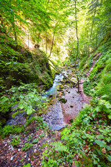 River flowing through a gorge