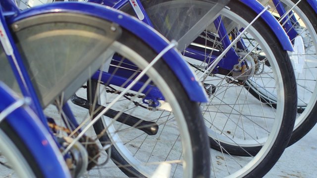 Bicycles in blue