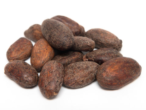 Cacaobohnen