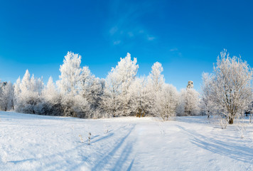 Fototapeta na wymiar beautiful winter forest on sunny day