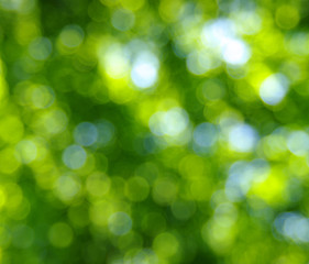 Obraz premium abstract light background