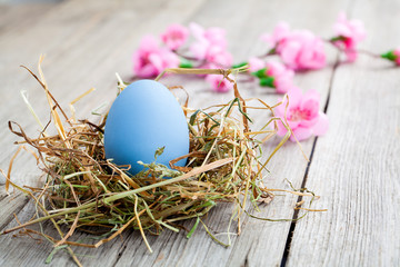 blue easter egg on wooden background