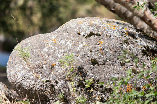 large stone in nature