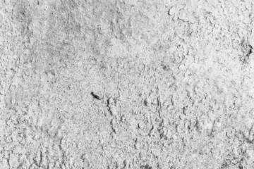 Wall White Background