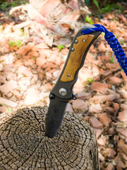 Knife stuck in a stump