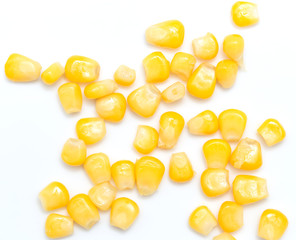 corn on a white background. close-up