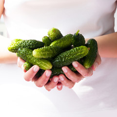 Cucumbers from the garden