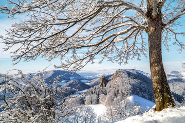 "Ein wenig Winter..."