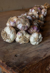 Garlic Braid on Old Wooden Work Table