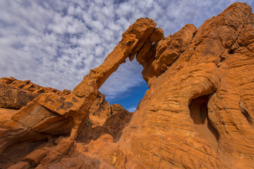 Elephant rock upclose