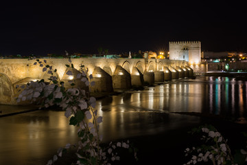 Fototapeta na wymiar Puente romano de Córdoba