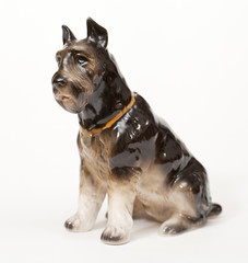 Fototapeta premium Giant Schnauzer