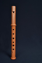 Naklejka premium Dulzaina y flabiol instrumentos musicles tradicionales