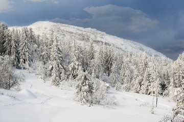 Fototapeta na wymiar Winter in Norway