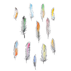 Artistic hand drawn set, lot of bird feathers, watercolour art. Design elements