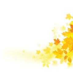 autumn decoration composition with maple leaves