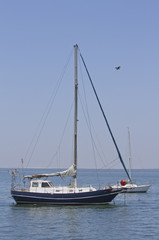 Fototapeta na wymiar Segelboot im Hafen