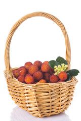 Cesta con madroños, frutas silvestres mediterráneas