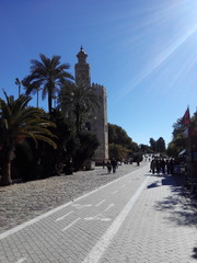 Naklejka premium Bike lane ride with the Torre del Oro in the background