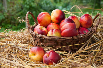 peaches