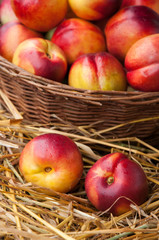 Juicy nectarines