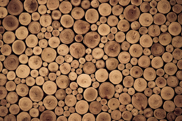 Obraz premium wood stump background