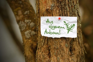 zettl brettl 02 aus eigenem anbau I