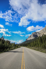 Icefield Parkway 11